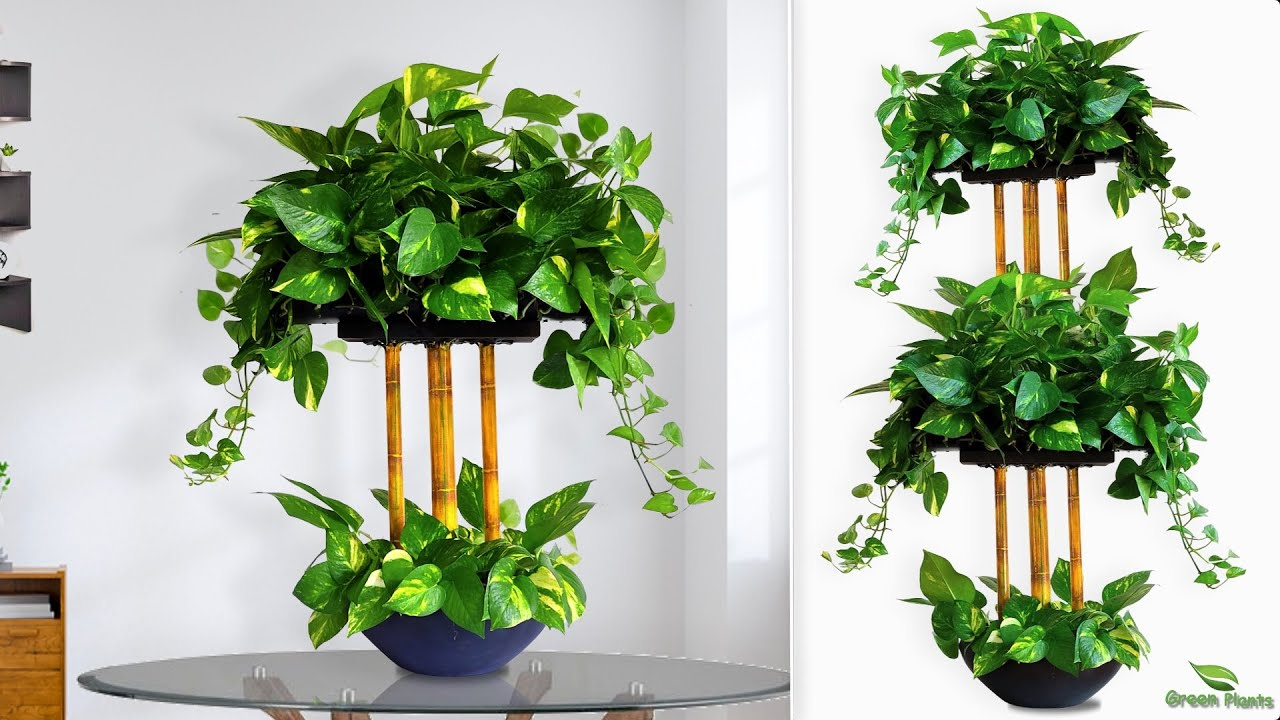 Green Dreams: Unique Plant Decor on a Budget